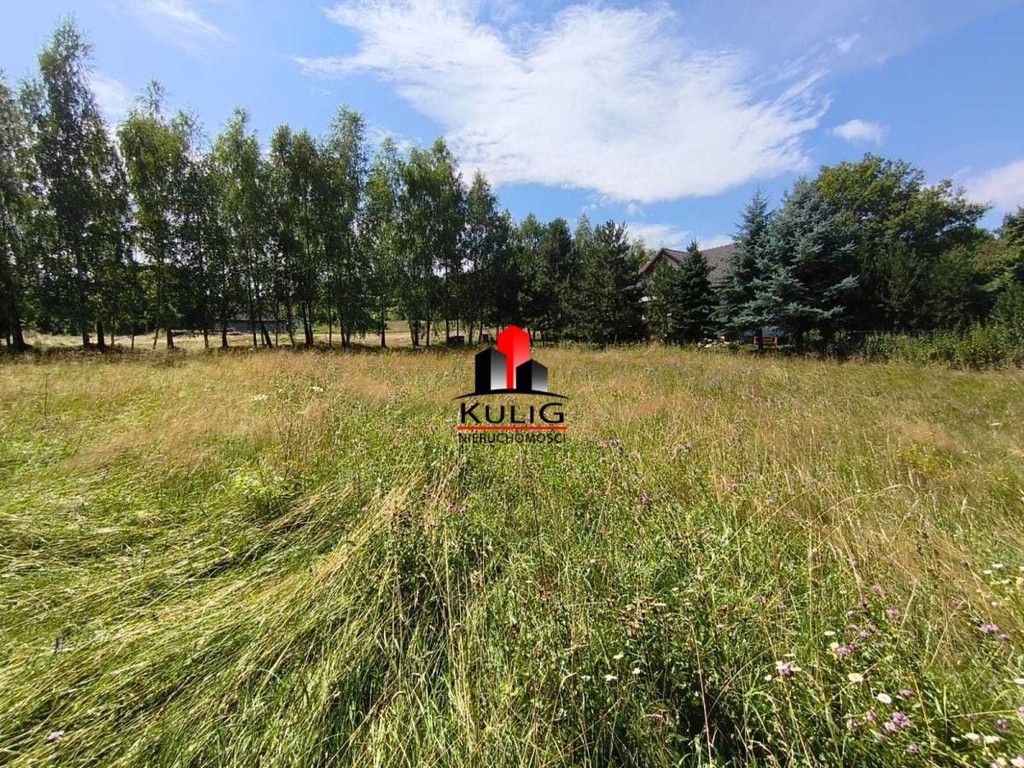 Piękna działka budowlana 10ar, Łapanów Tarnawa - Widok 3