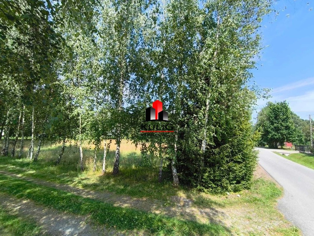 Piękna działka budowlana 10ar, Łapanów Tarnawa - Widok 5