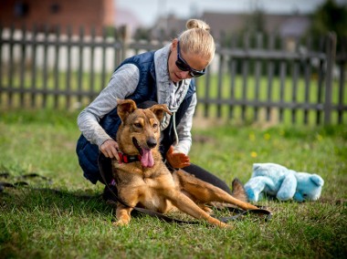 Wspaniała bezproblemowa KROMKA szuka dobrego kochającego domu-1