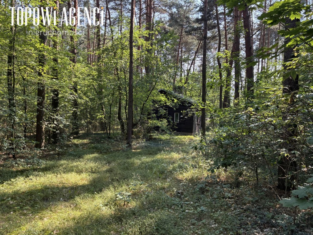 Domek letniskowy 43 m2 w Rosanowie działka 1690 m2