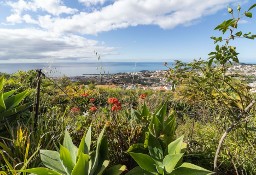 Dom Ilha Da Madeira, Imaculado Coração De Maria