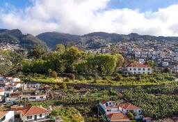 Dom Ilha Da Madeira, Imaculado Coração De Maria