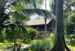 Mieszkanie Limón Talamanca Cahuita Playa Grande