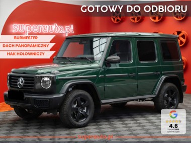 Mercedes-Benz Klasa G W464 450 d Edycja Professional 450 d Pakiet technologiczny + Burmester +-1