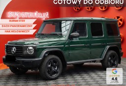 Mercedes-Benz Klasa G W464 450 d Edycja Professional 450 d Pakiet technologiczny + Burmester +
