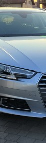 Avant z 2017r-3