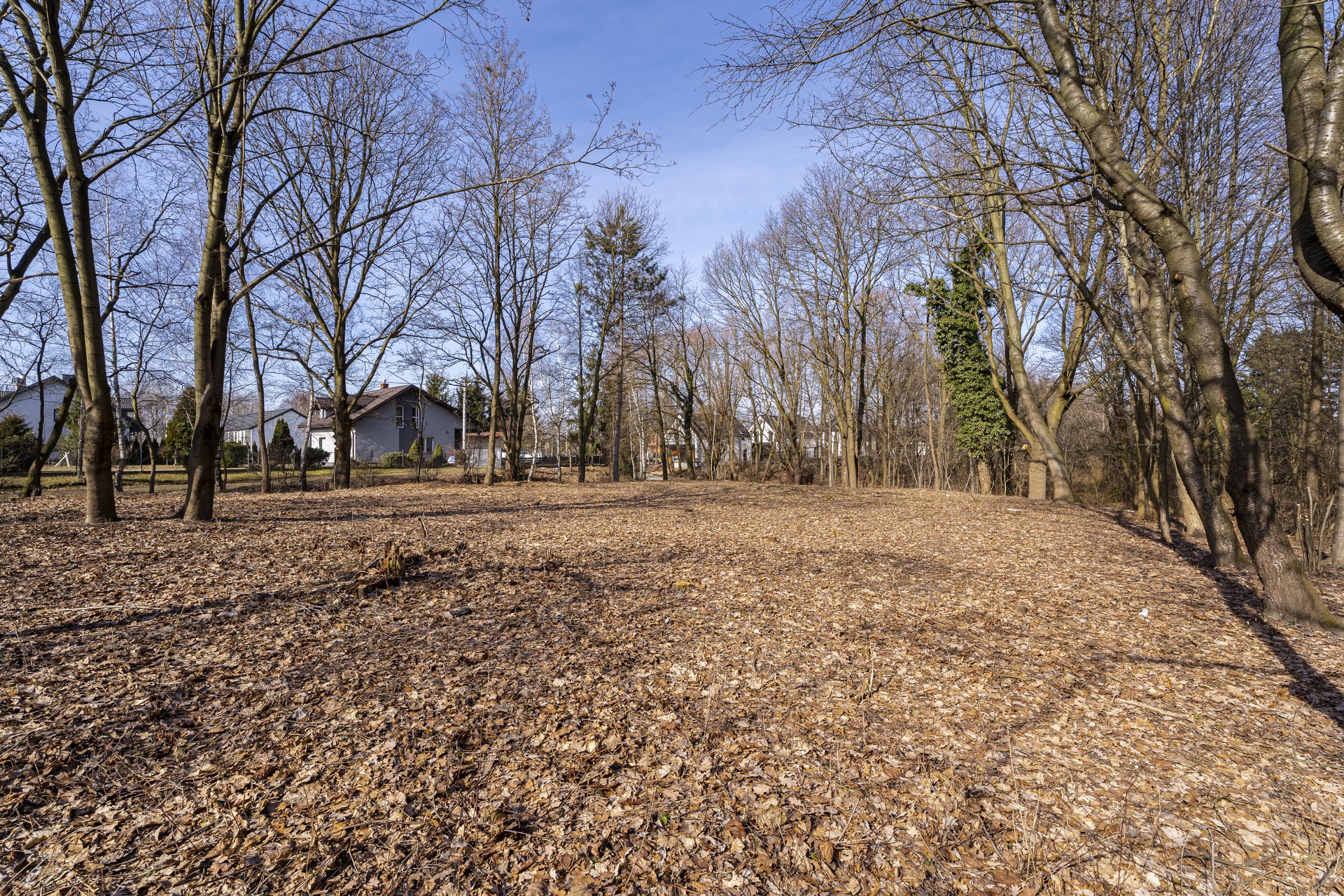 SKAWINA, UL. ŁANOWA | 2181 m² | OK. 1200 m² CZĘŚĆ BUDOWLANA (MN) | MEDIA W DRODZE | DOJAZD Z ASFALTU - Ansicht 3