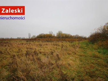 Gdańsk Lipce - działka siedliskowa-1