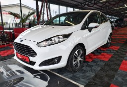 Ford Fiesta VIII zarejestrowana!!!