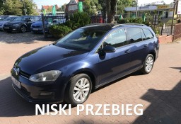 Volkswagen Golf VII Golf VII niski przebieg, super stan asystent parkowania