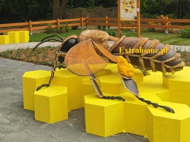 Pszczoła Edukacyjna 250cm ,ścieżka edukacyjna , Pszczoła gigant-1
