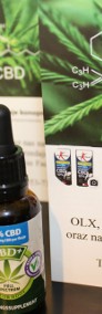 Jacob Hooy CBD Olej konopny 10% (30ml)-3