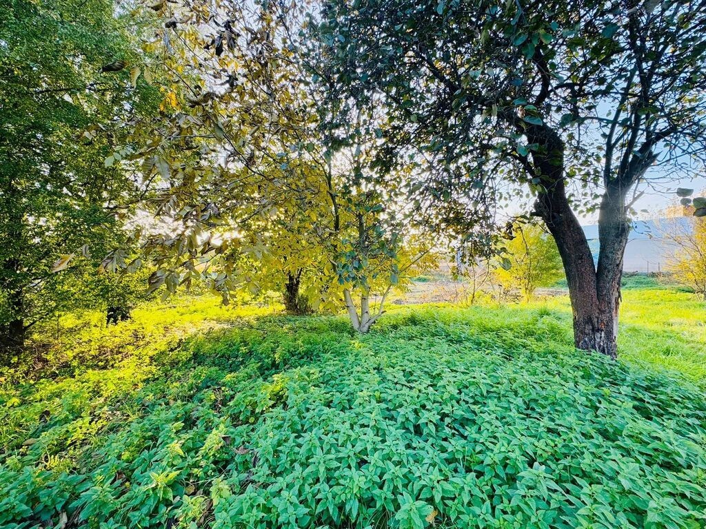 Działka budowlana 1766 m² z garażem – Niedobczyce - View 4