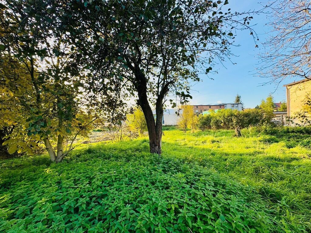 Działka budowlana 1766 m² z garażem – Niedobczyce - View 5