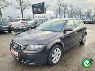 Audi A3 II (8P) 1.9TDI 105KM-1