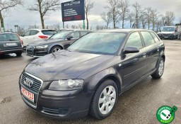 Audi A3 II (8P) 1.9TDI 105KM