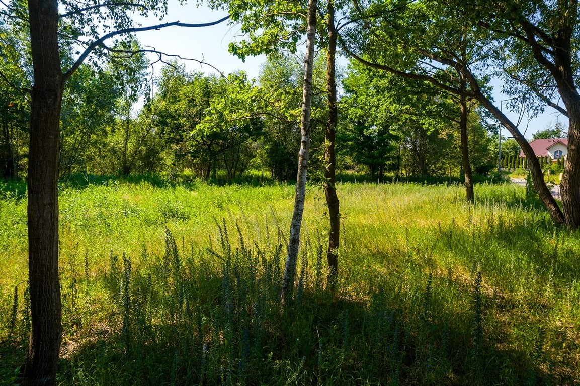 Działka 909 m² z pozwoleniem na budowę domu – Leśniakowizna, gm. Wołomin - Widok 3
