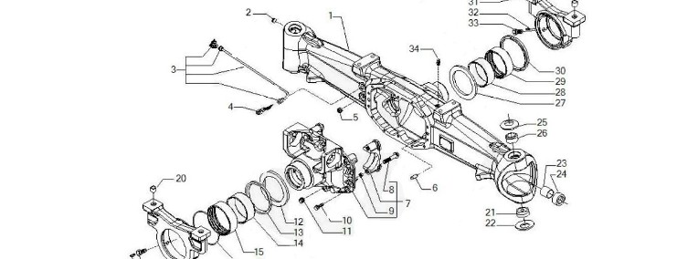 Carraro 20.49 149434 - most napędowy - dyferencjał-1