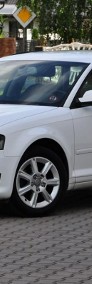 Audi A3 II (8P) 1,6 TDI 105KM Alufelgi PDC Klimatronik 1 Wł. Serwis z DE !!-4
