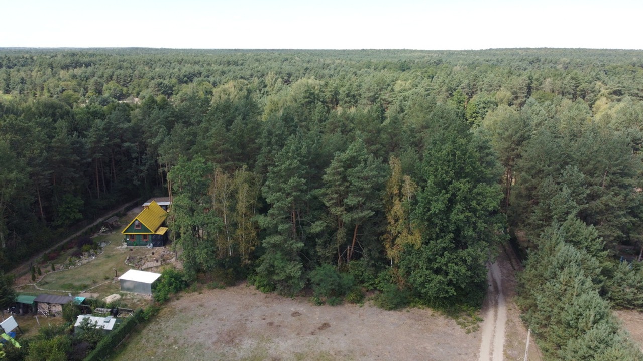 Działka 800 m² w Woli Chodkowskiej Warszawa 85 km. - Widok 4