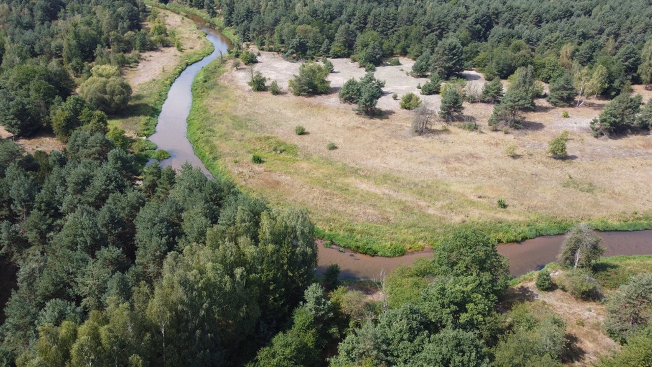 Działka 800 m² w Woli Chodkowskiej Warszawa 85 km. - Widok 5