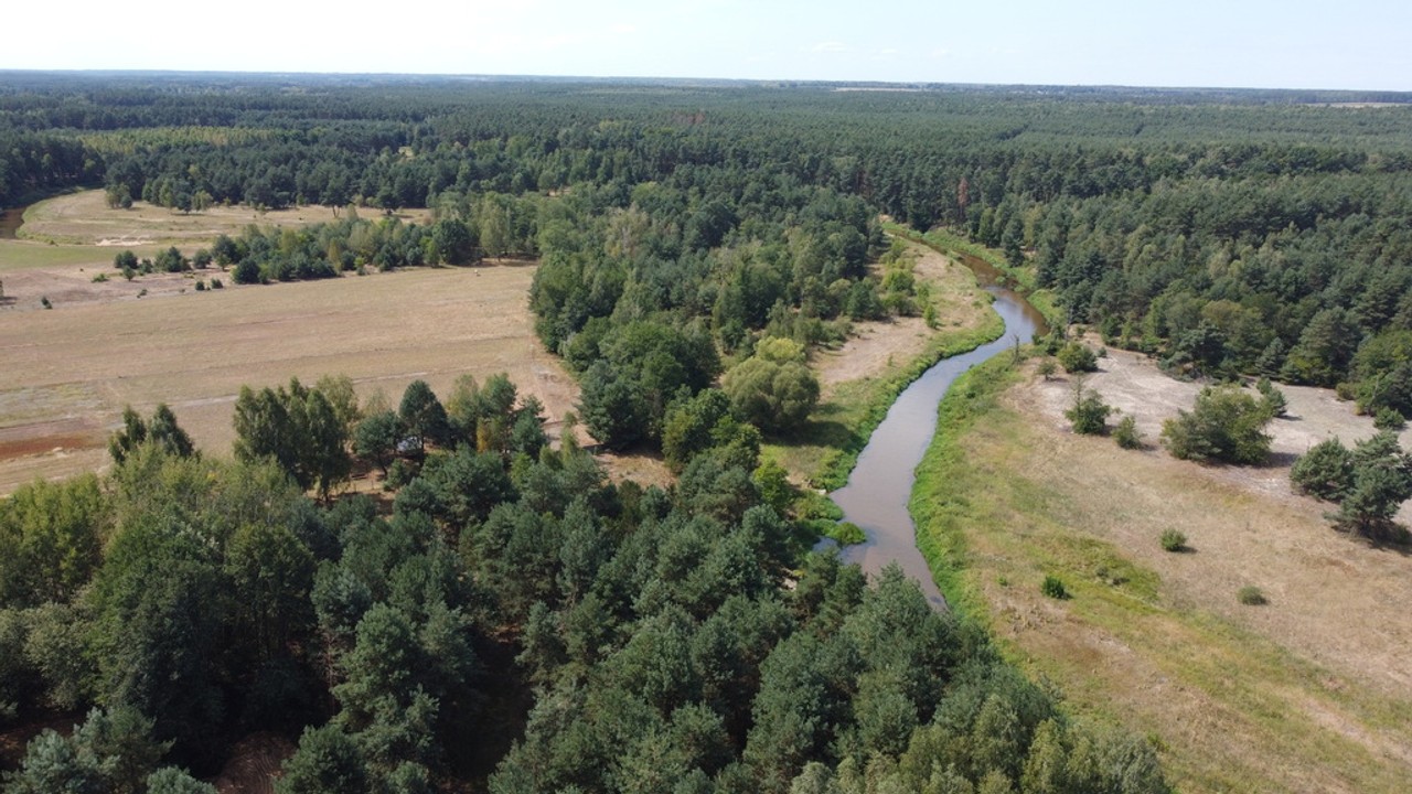 Działka 800 m² w Woli Chodkowskiej Warszawa 85 km. - Widok 6