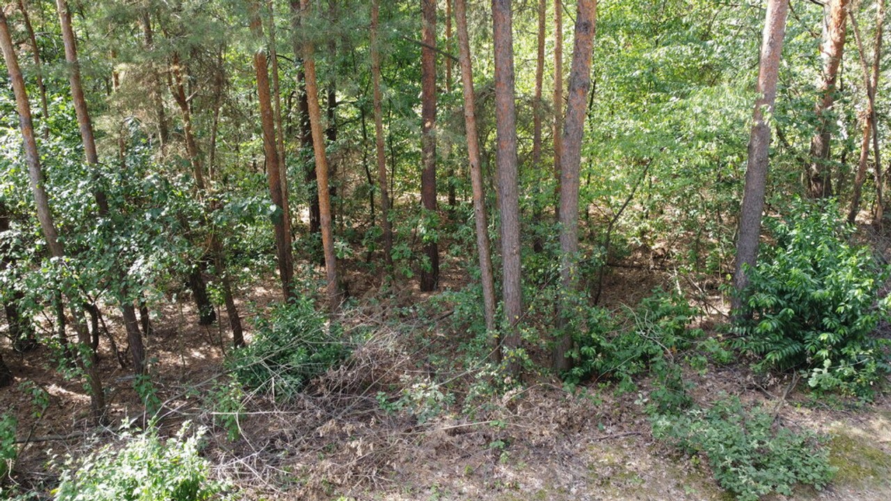Działka 800 m² w Woli Chodkowskiej Warszawa 85 km. - Więcej