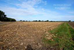 Działka inna Strzępiń