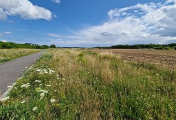 Działka inna Pierwoszyno, ul. Truskawkowa