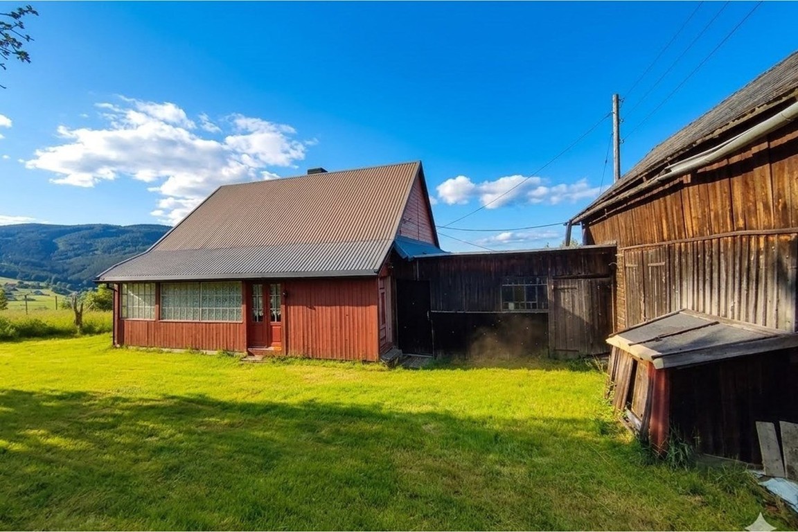 Górska enklawa – 2,5 ha wolności - Widok 4