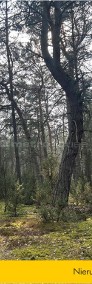 Działka w otoczeniu lasu-4