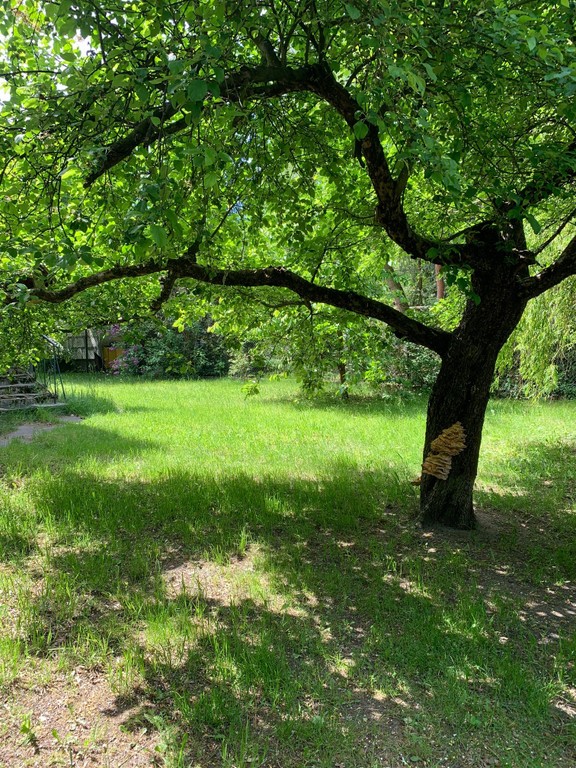 Działka z domkiem - Widok 3