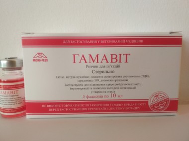 Gamavit 5 x 10 ml  oraz Gamavit z Ukrainy - Stimul , Gamawit-1