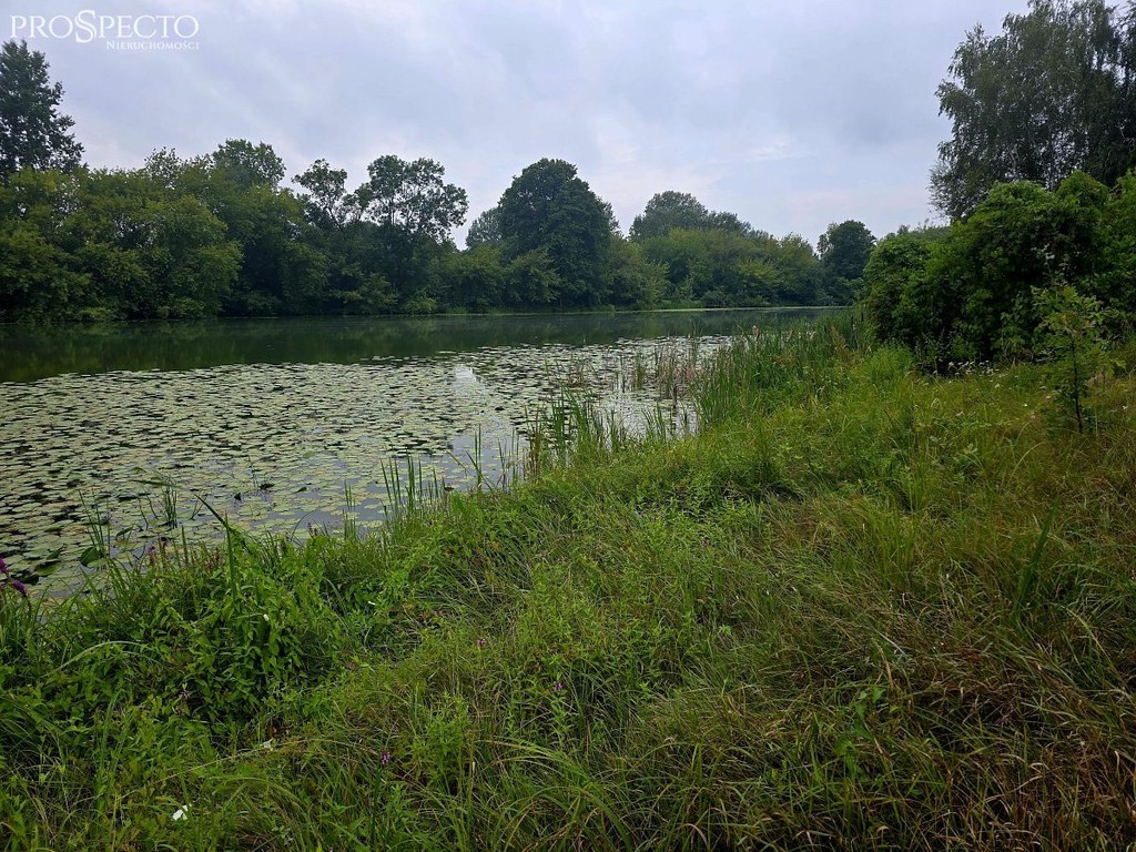 Dom na sprzedaż, 3 pokoje, 90 m², Bodzanów