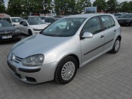 Volkswagen Golf V 1.9 Diesel 105 KM