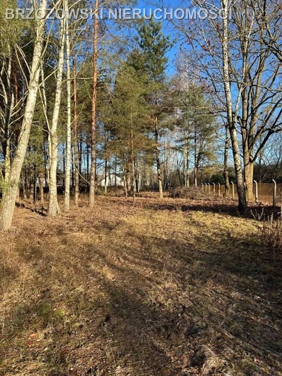 Mieszkowo, 3404 m², WZ x 2 domy, 4 jednostki - Widok 2