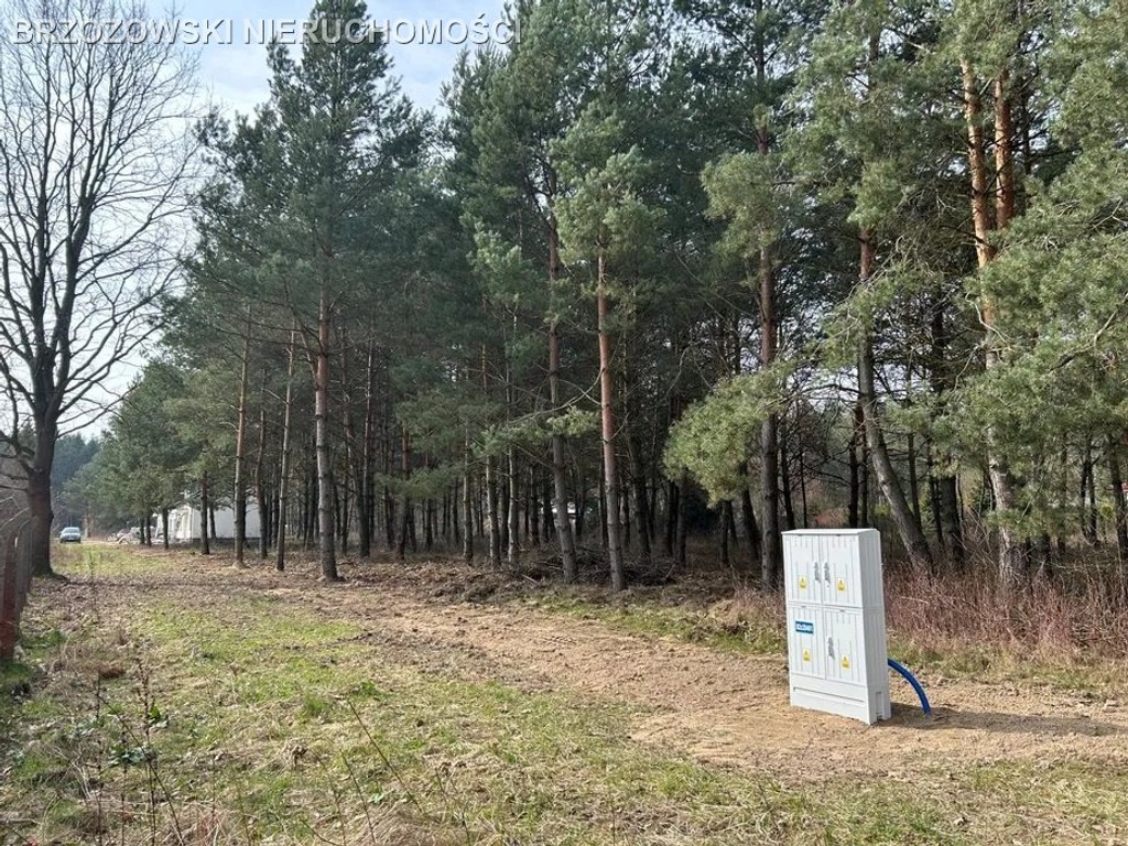 Mieszkowo, 3404 m², WZ x 2 domy, 4 jednostki - Widok 3