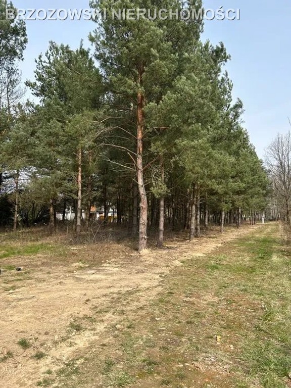 Mieszkowo, 3404 m², WZ x 2 domy, 4 jednostki - Widok 6