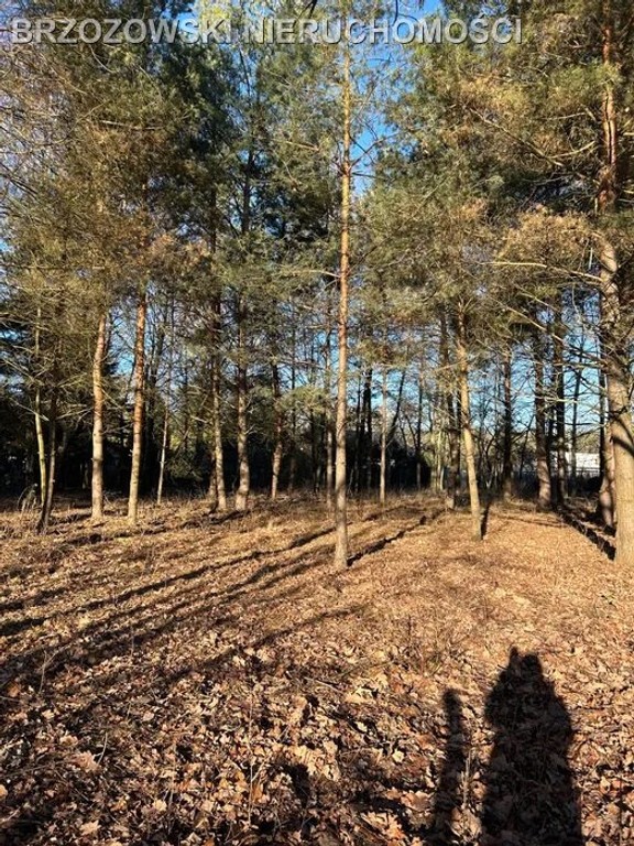 Mieszkowo, 3404 m², WZ x 2 domy, 4 jednostki - Więcej
