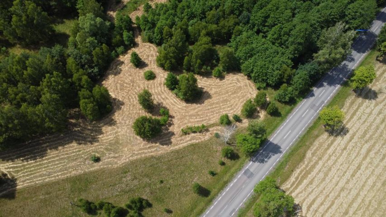 Działka na sprzedaż, 3000 m², Łochów Twarogi - Widok 2