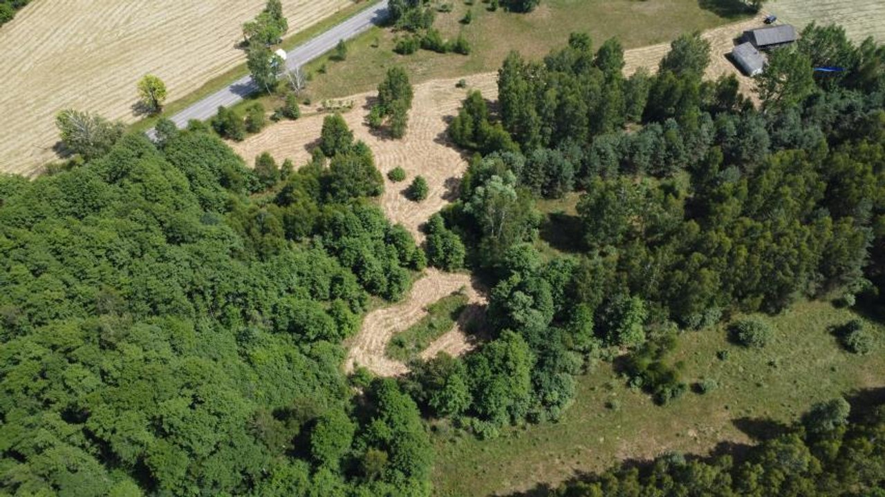 Działka na sprzedaż, 3000 m², Łochów Twarogi - Widok 3