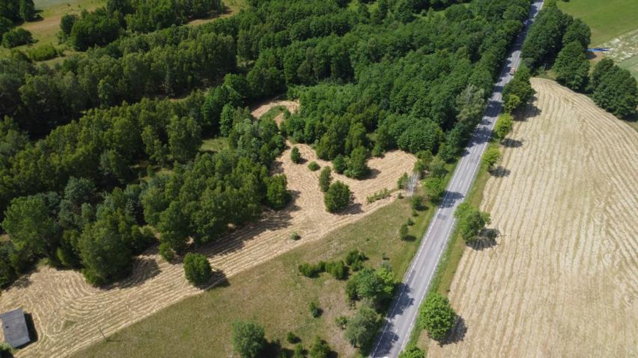 Działka na sprzedaż, 3000 m², Łochów Twarogi - Widok 4
