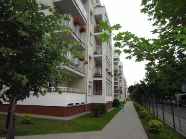 Mieszkanie Poznań Wilda, Dębiec, Centrum, ul. Saperska-1