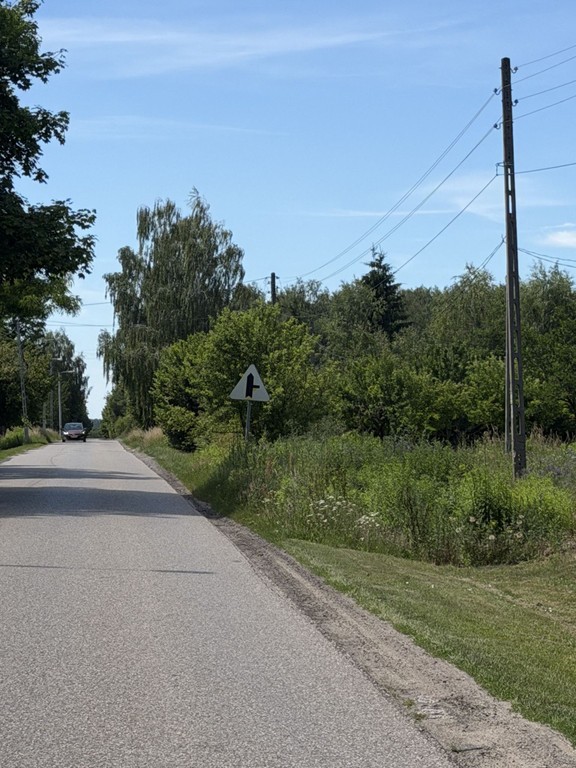 Urokliwa działka w Koloni Niesułków z pięknym laskiem - Widok 5