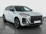 Inna Inny , Salon Polska, 1. Właściciel, Serwis ASO, Automat, VAT 23%,