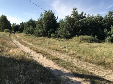 Sprzedam działkę 2500 m2-budowlaną-Korfowe-250 m od skraju Puszczy Kampinoskiej-1