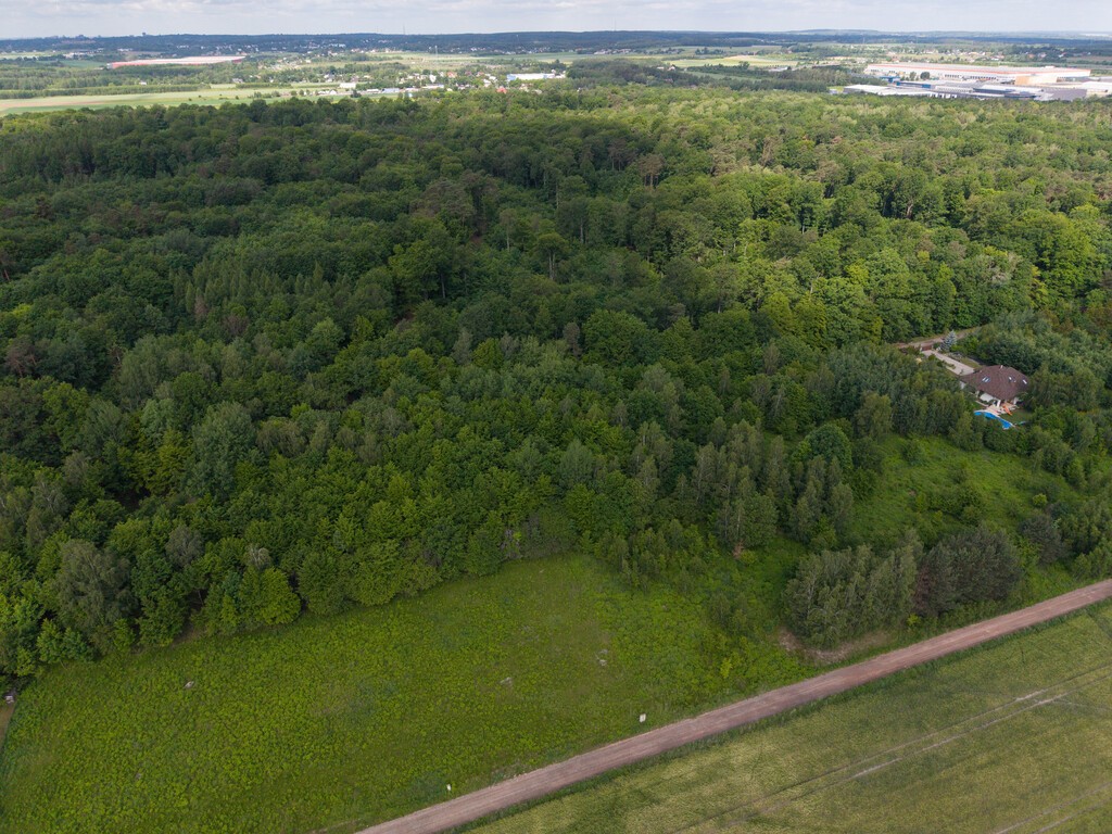 Wyjątkowa działka tuż przy rezerwacie przyrody - Widok 3