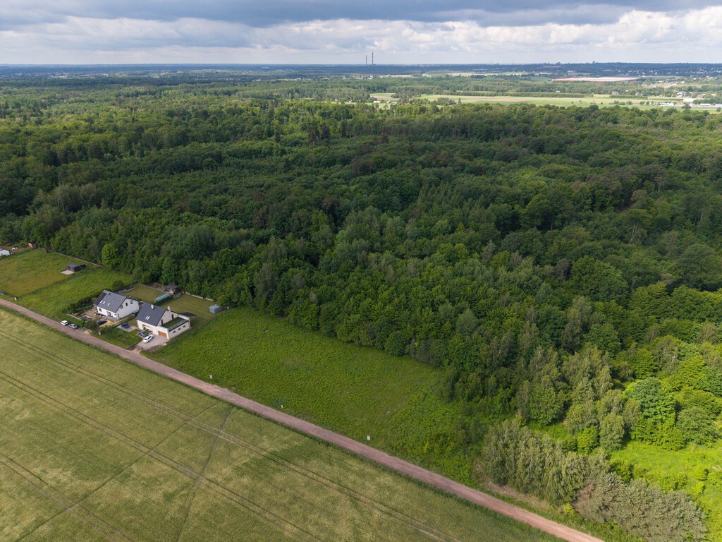 Wyjątkowa działka tuż przy rezerwacie przyrody - Widok 5
