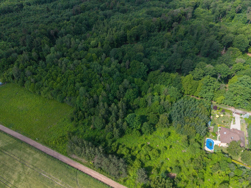 Wyjątkowa działka tuż przy rezerwacie przyrody - Widok 6