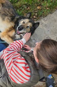 Adoptuj dostojnika Nanuka - wciąż swojej rodziny szuka-2